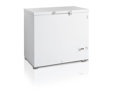Ларь морозильный Tefcold FR305 SL